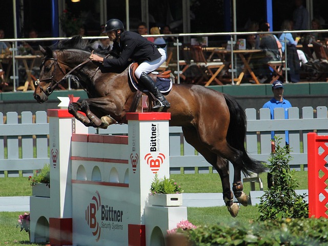 多边贸易协 多边贸易协