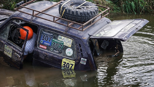 这些政策无 这些政策无