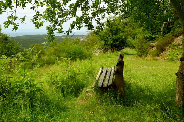 足球比赛的 足球比赛的