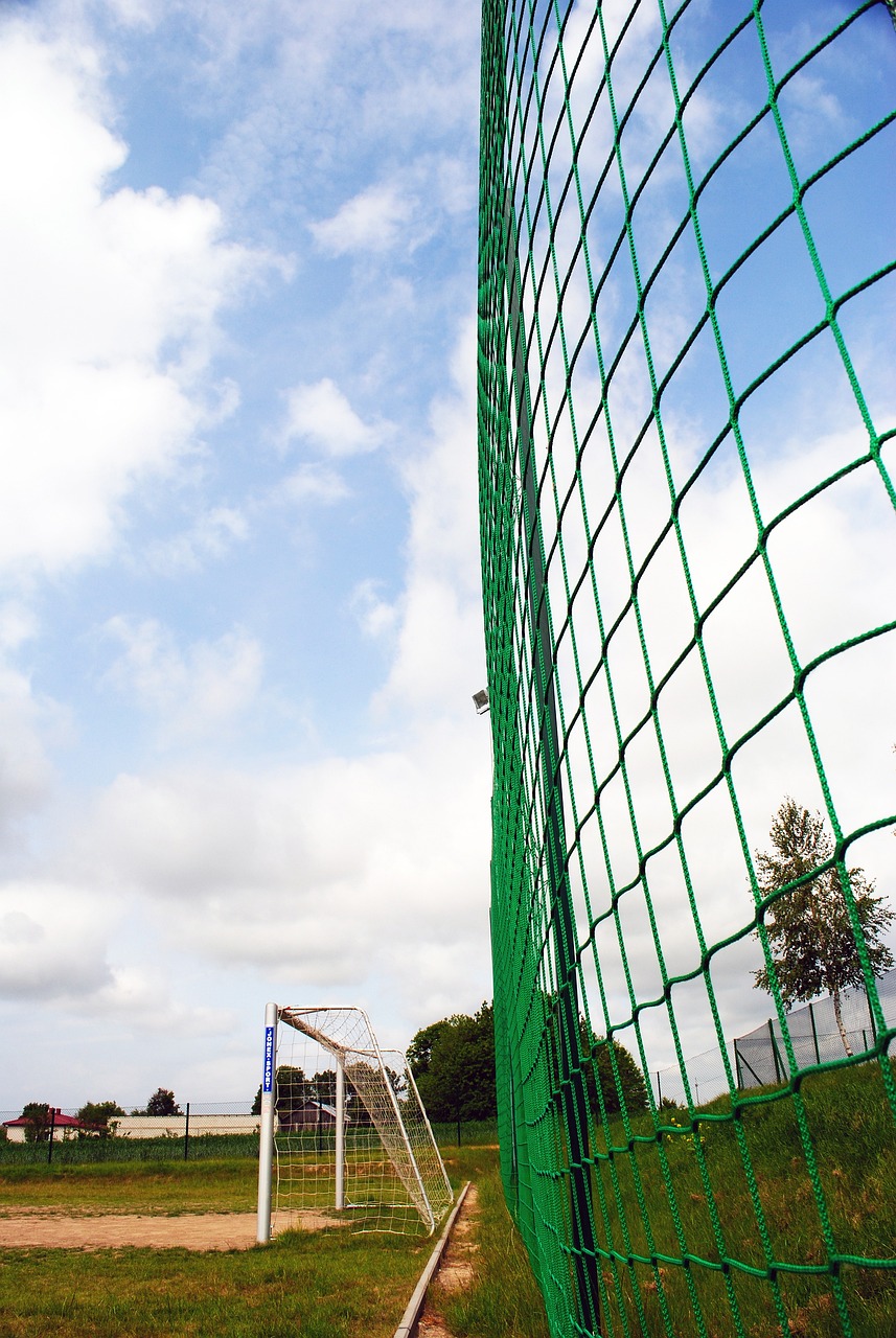 引援騰出資 引援騰出資