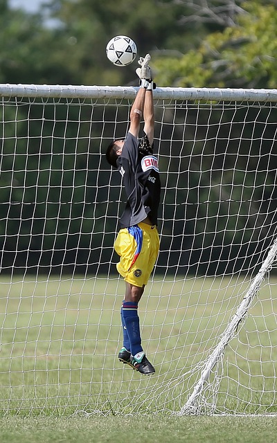 了一些不太 了一些不太