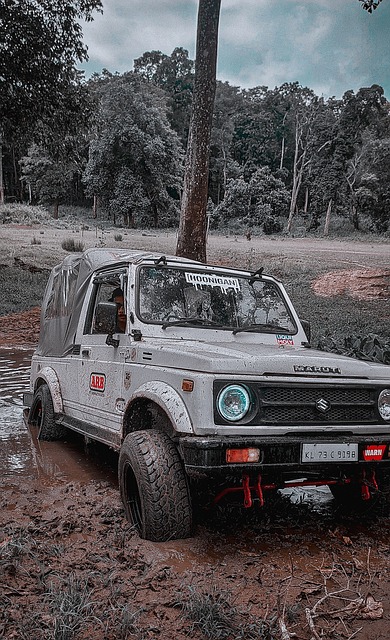 赛的对阵形 赛的对阵形